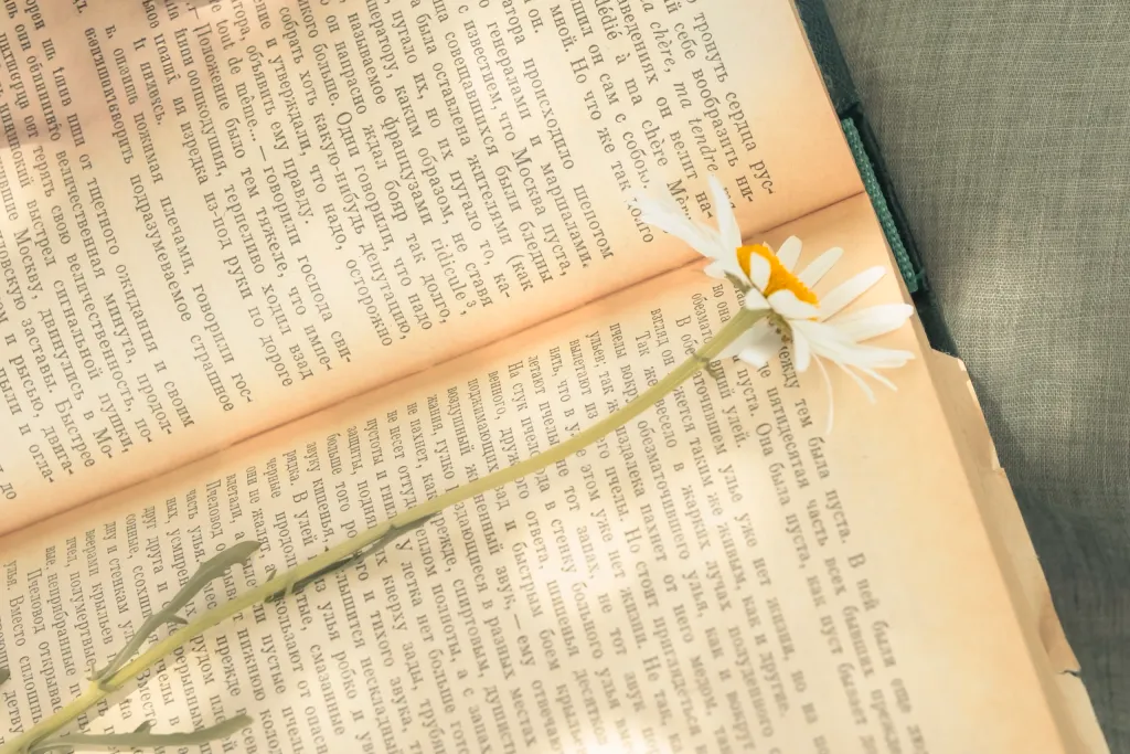 Blog